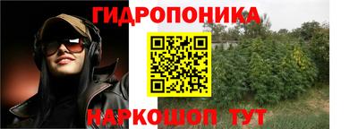 2c-b Камышлов