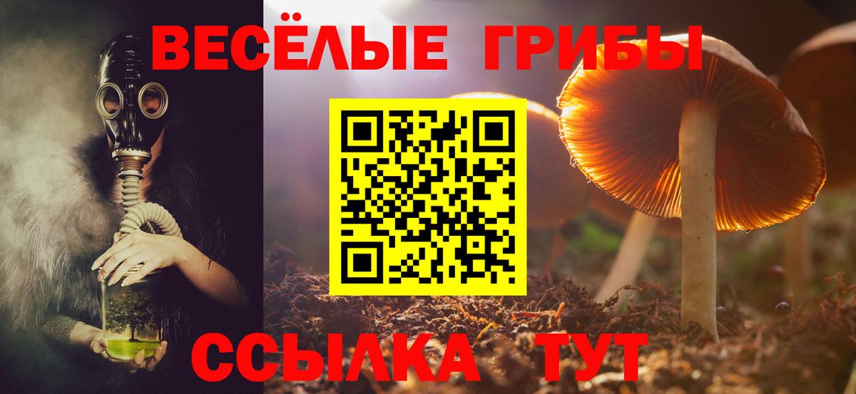 Галлюциногенные грибы мухоморы Куйбышев