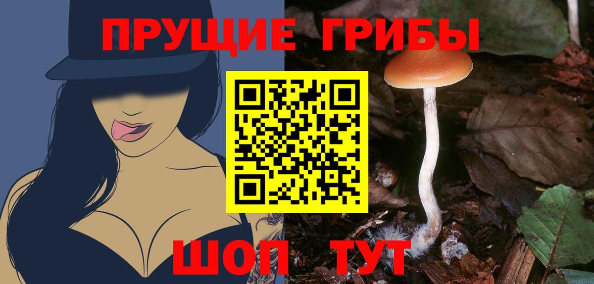 Куйбышев  Псилоцибиновые грибы Psilocybine cubensis  наркошоп  Вход с VPN  Галлюциногенные грибы мухоморы 